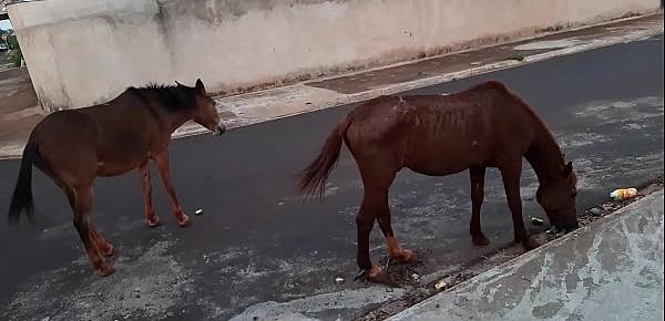  Enteada caipira menina gostosa foi no sítio do titio de cavalo panhar limão fez putaria e deu o cu  pro jubileu